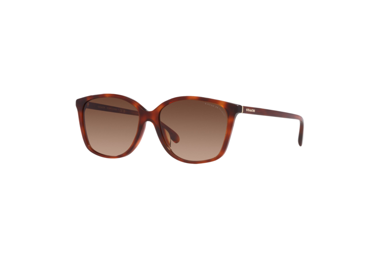 Coach Women's Polarized CH558 Sunglasses
