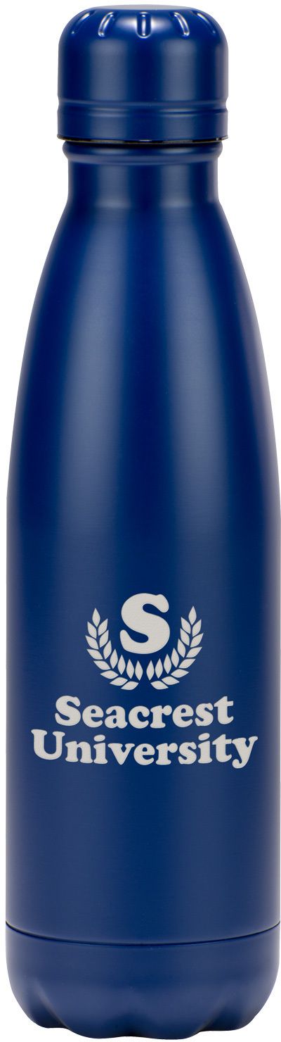 VOYAGER STAINLESS STEEL BOTTLE 17 OZ