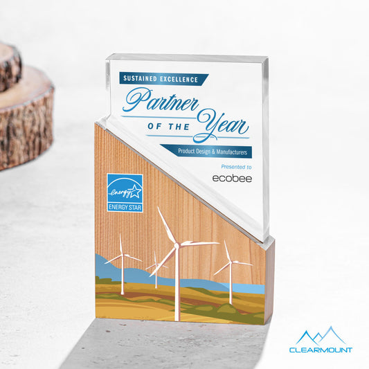 Rocheaux VividPrint™ Award