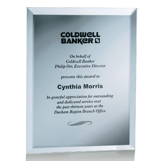 Mirror Plaque - Silver