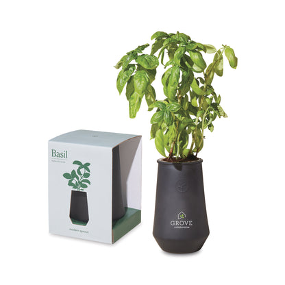 Black/Basil Modern Sprout Tapered Tumbler Grow Kit
