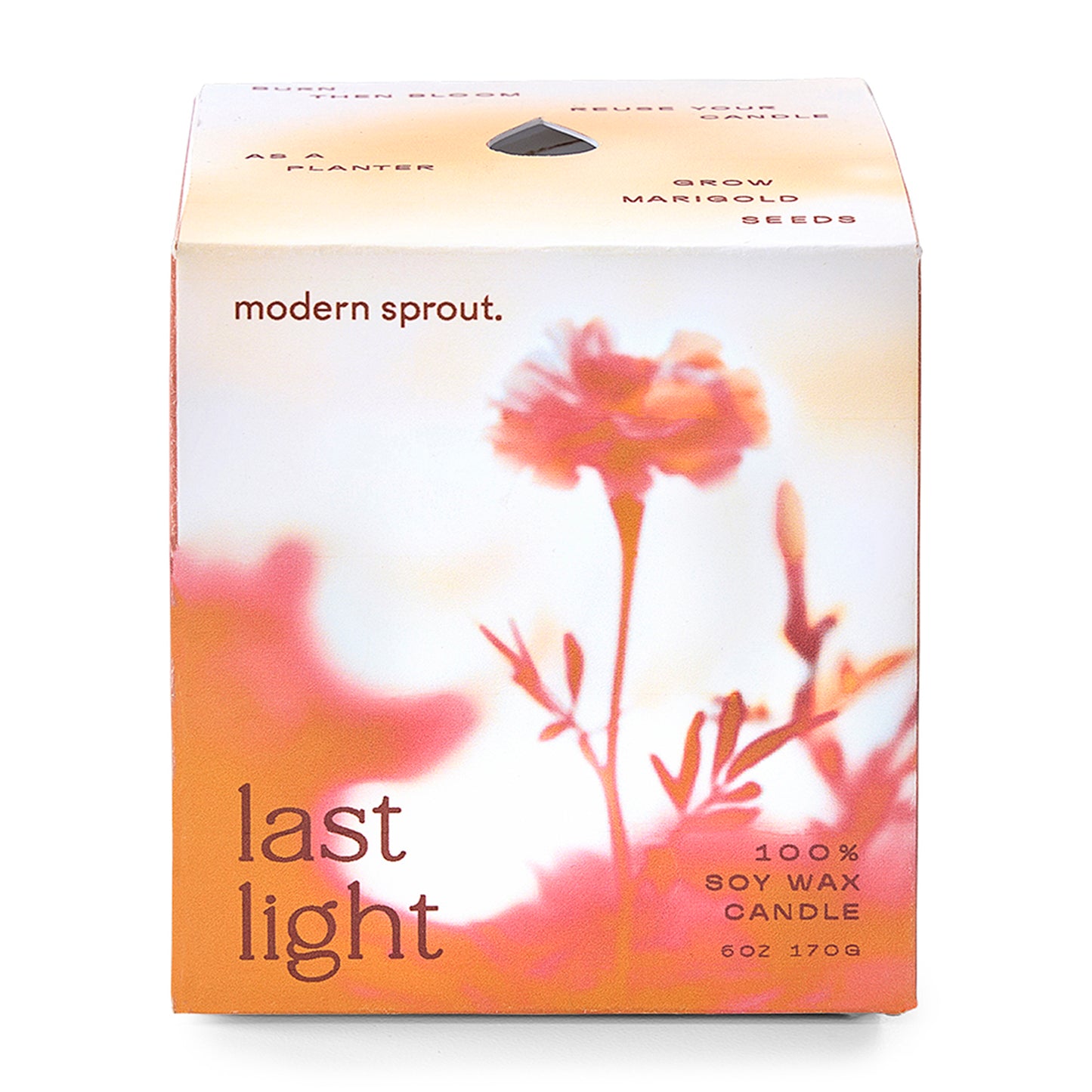 Modern Sprout® Garden Vibes Candle/Planter