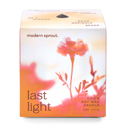 Modern Sprout® Garden Vibes Candle/Planter