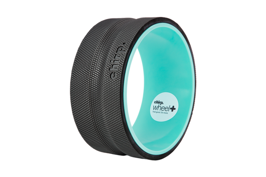 Chirp Wheel+ 10-inch Firm