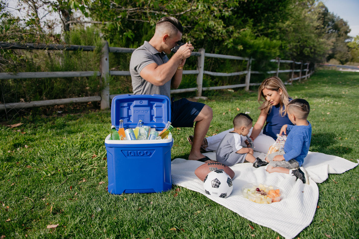 Igloo® Profile II 28 Qt Roller Cooler