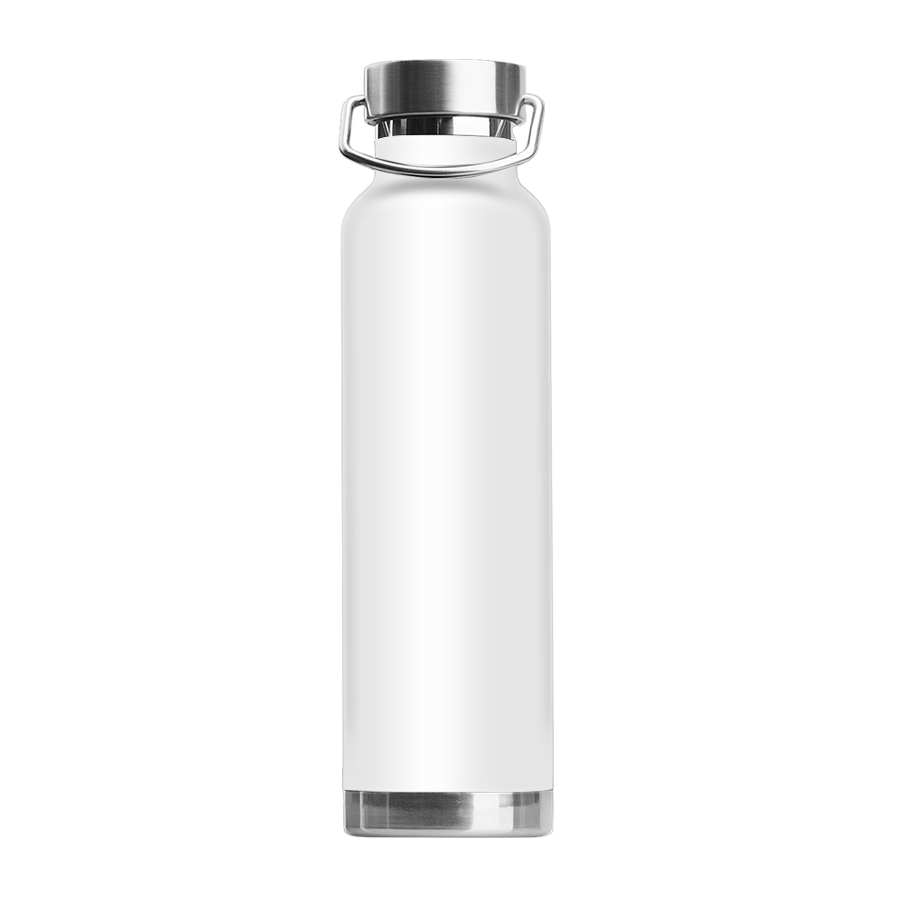 Owens 22oz Stainless Steel Water Bottle