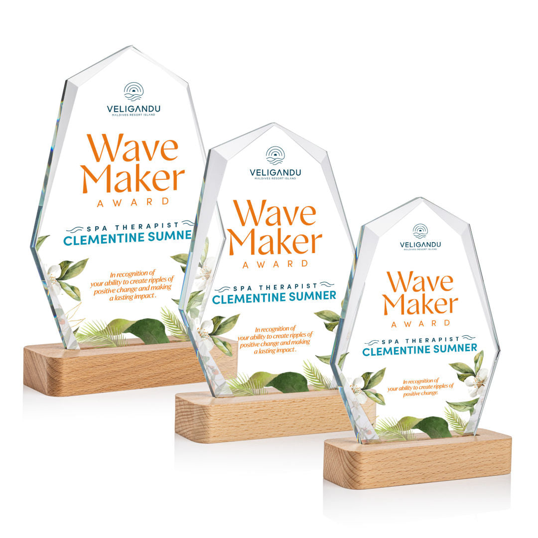Andale VividPrint™ Award