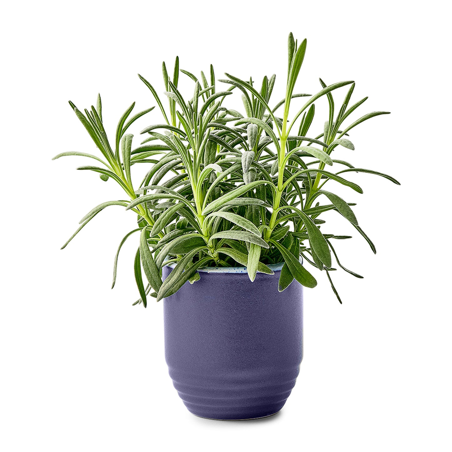 Modern Sprout® Garden Vibes Candle/Planter