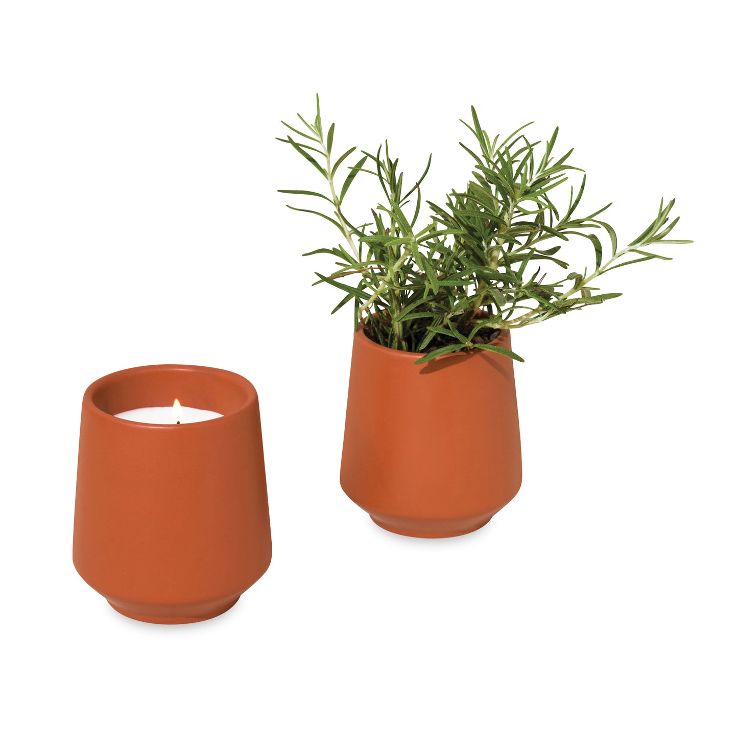 Modern Sprout® Rooted Candle