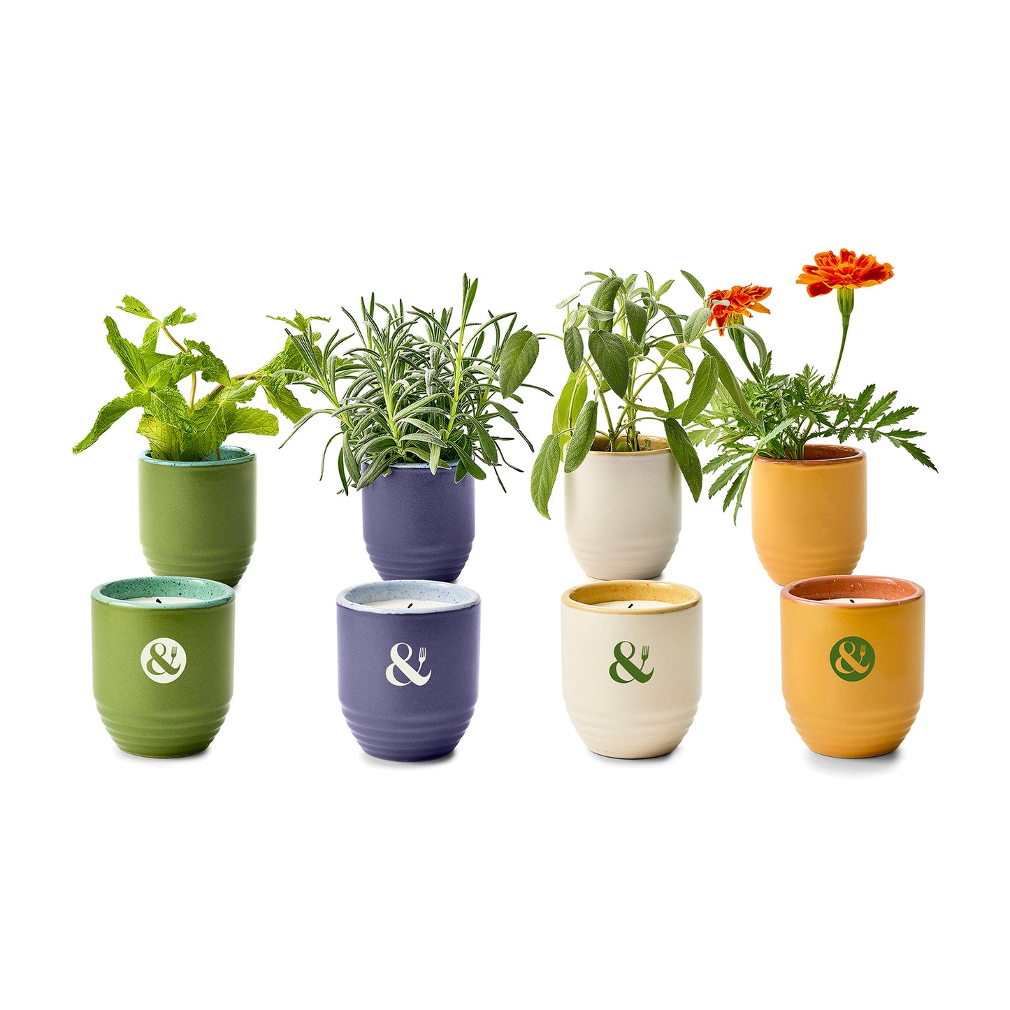 Modern Sprout® Garden Vibes Candle/Planter