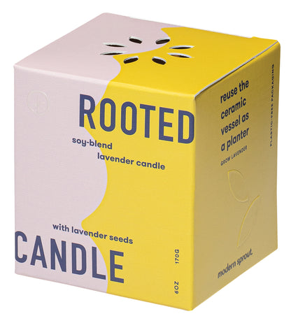 Modern Sprout® Rooted Candle