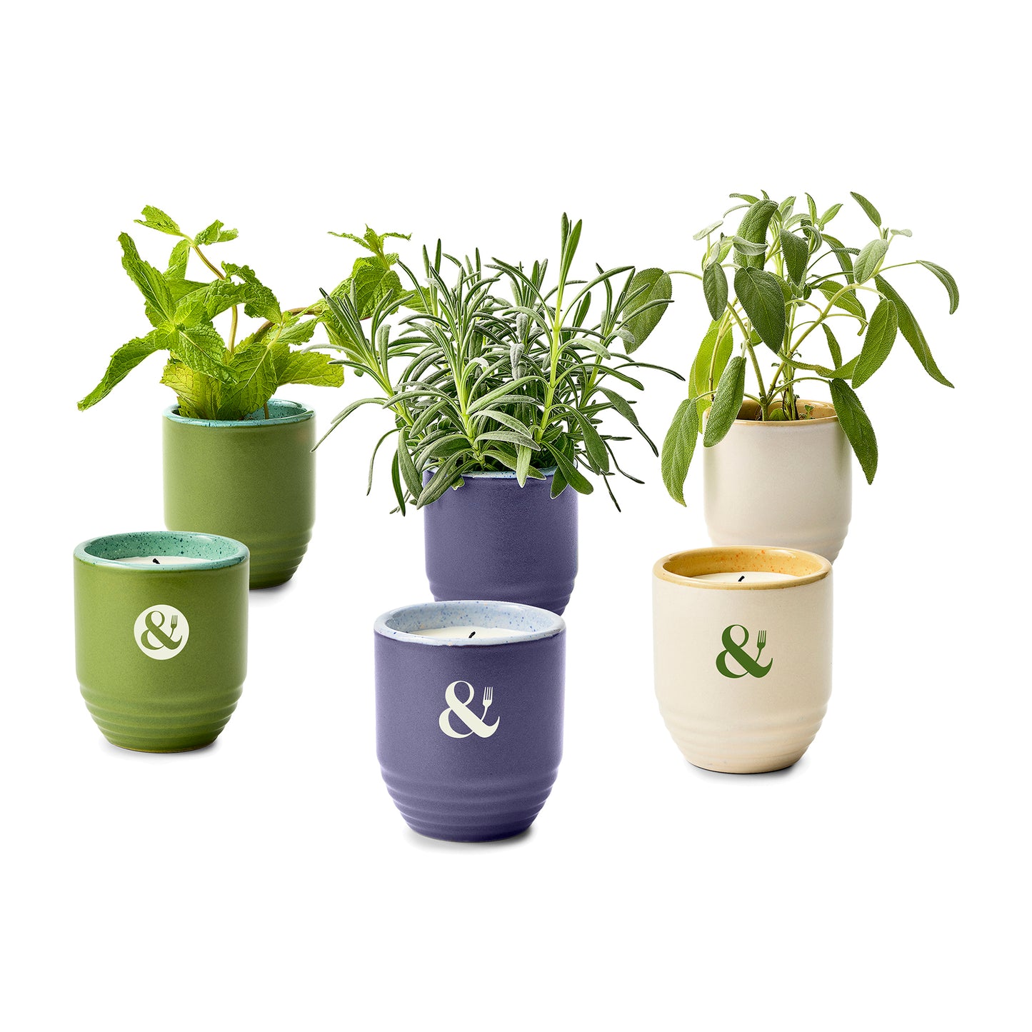 Modern Sprout® Garden Vibes Candle/Planter