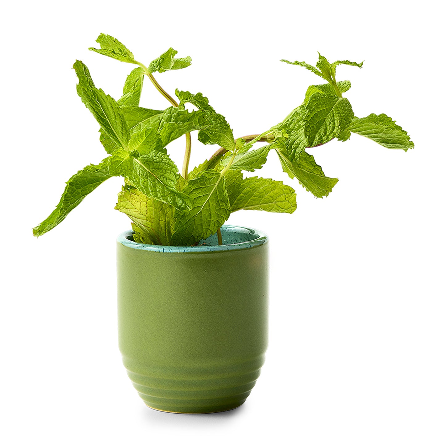 Modern Sprout® Garden Vibes Candle/Planter