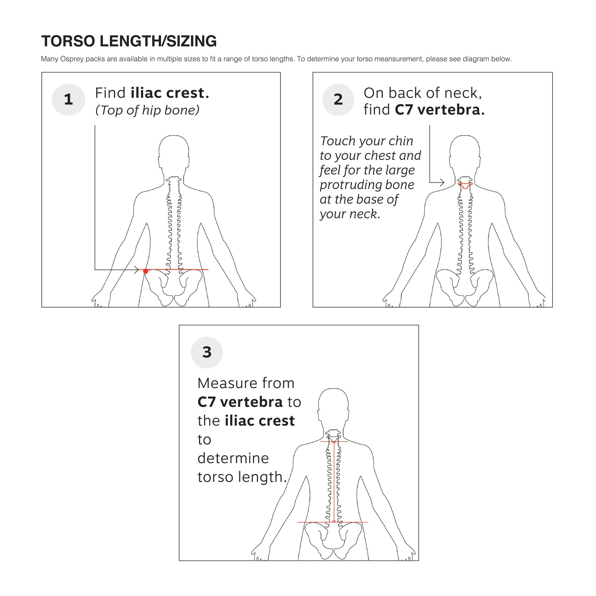 Blue Sky Osprey Sportlite™ 25 - M/L