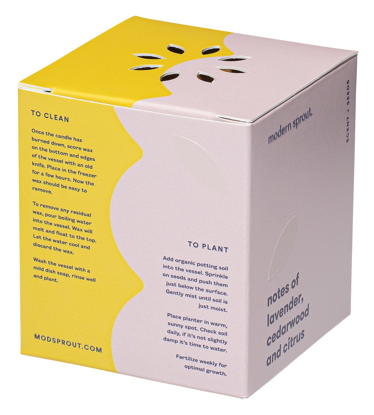 Modern Sprout® Rooted Candle