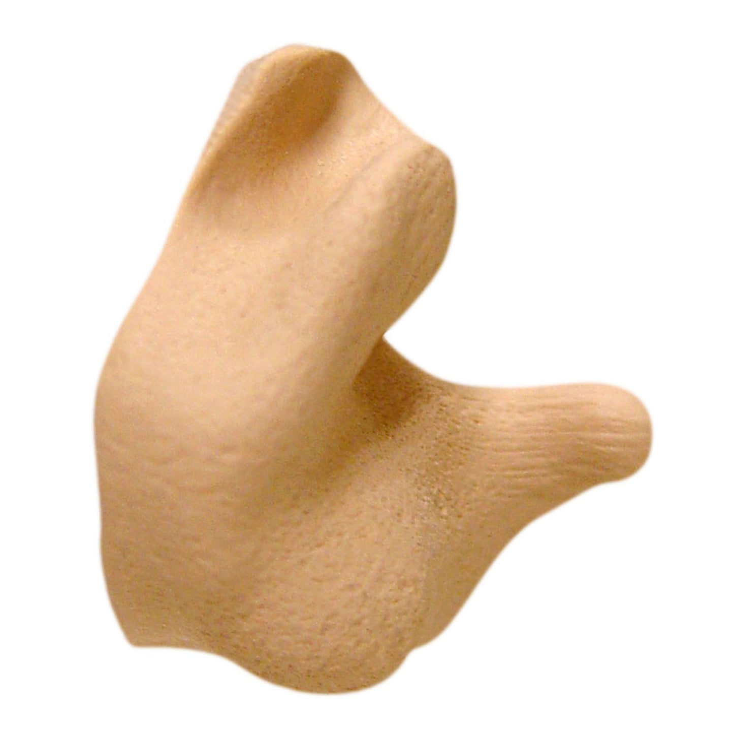 Custom Molded Earplugs - Tan
