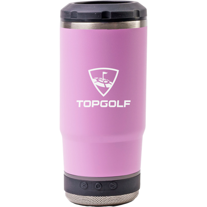 Go Caddy Vibe 4 In 1 Drink Cooler