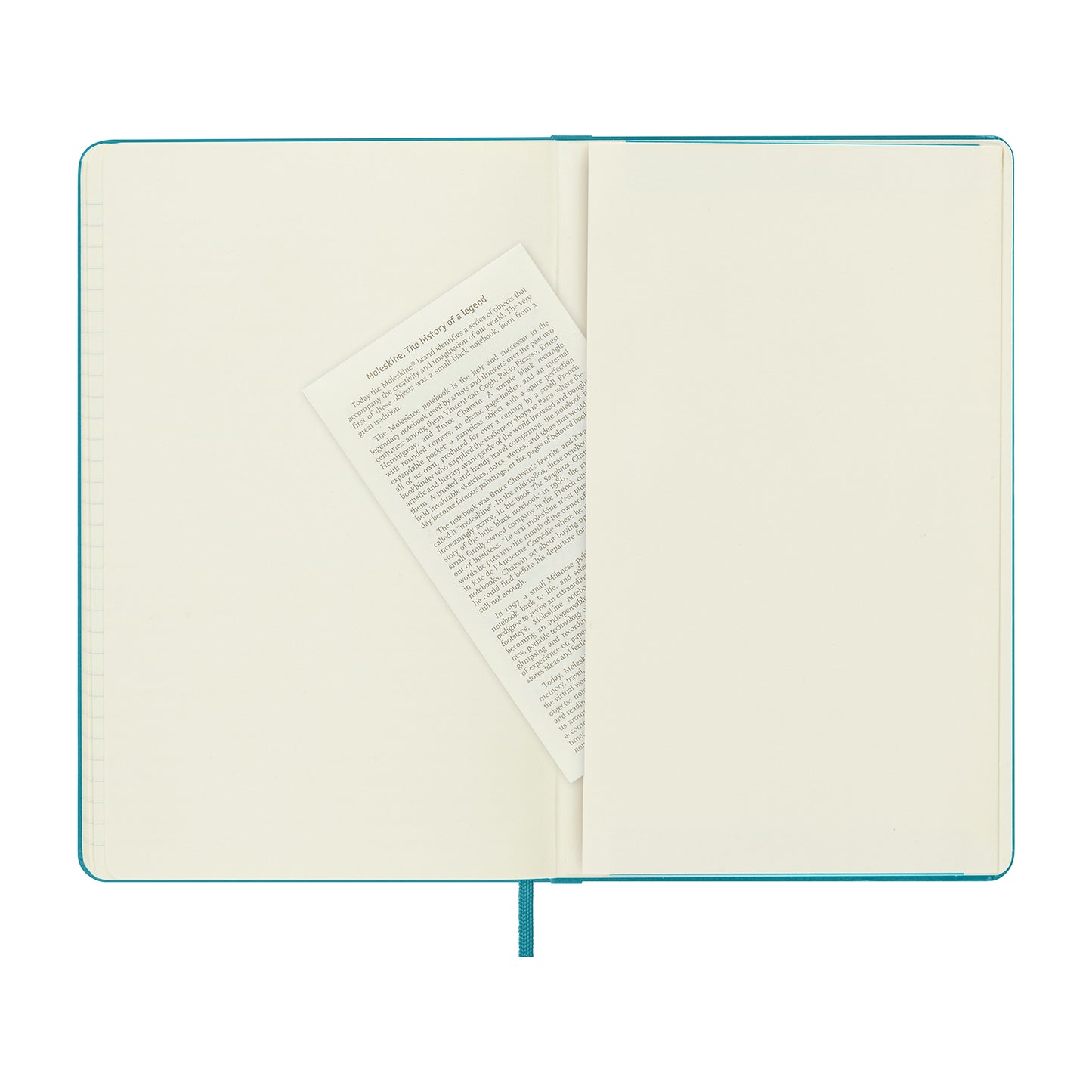 Moleskine® Hard Cover Ruled Large Notebook