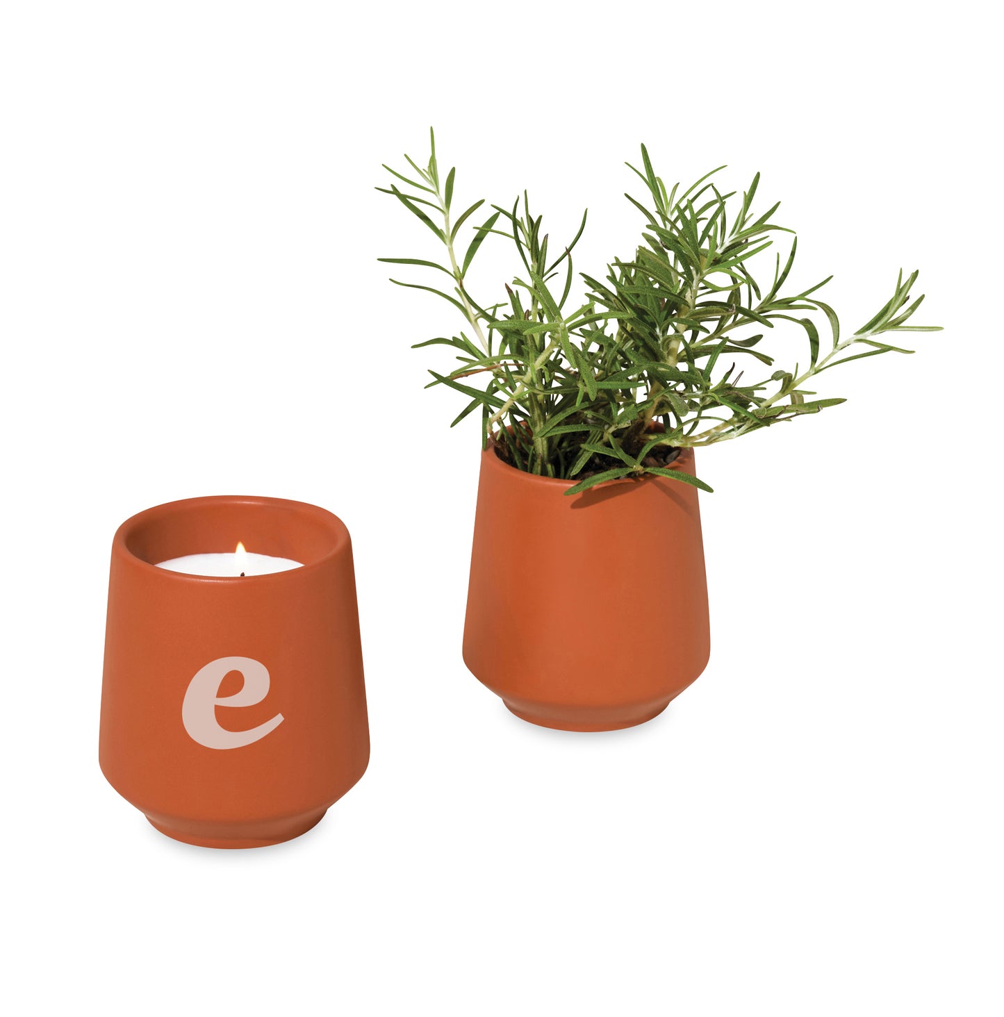 Modern Sprout® Rooted Candle