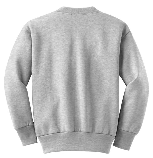 Rear View of Ash Port & Company Youth Core Fleece Crewneck Sweatshirt. PC90Y