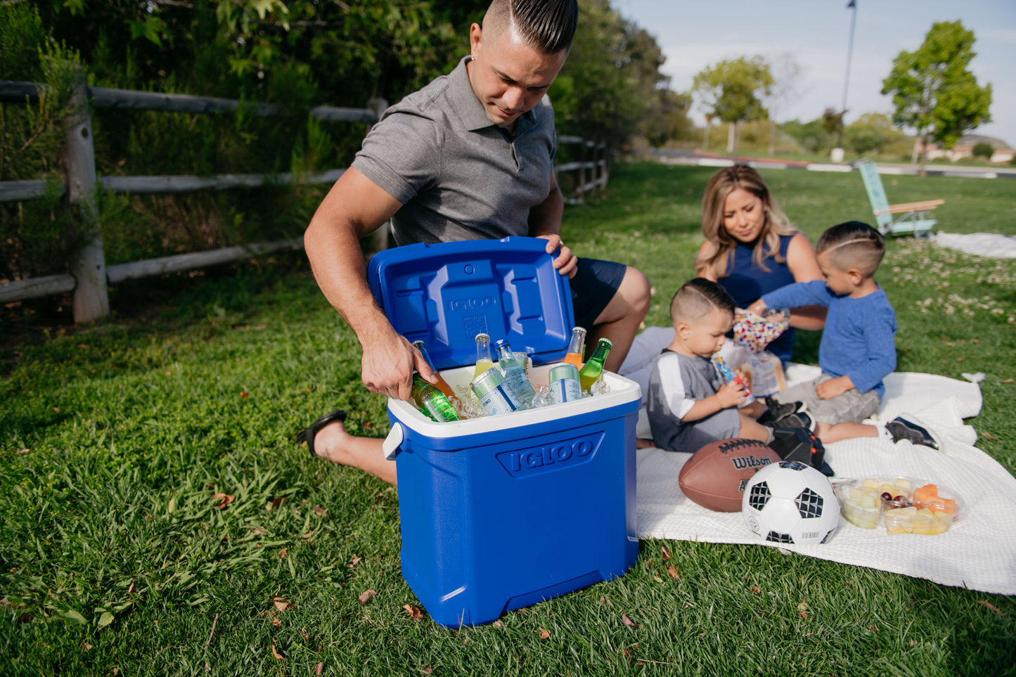 Igloo® Profile II 28 Qt Roller Cooler