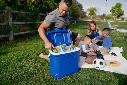 Igloo® Profile II 28 Qt Roller Cooler