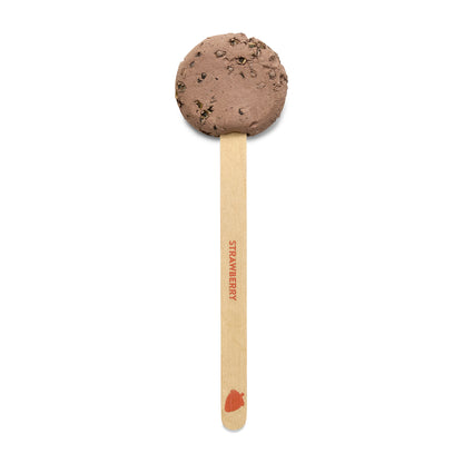 Modern Sprout Garden Seed Pop