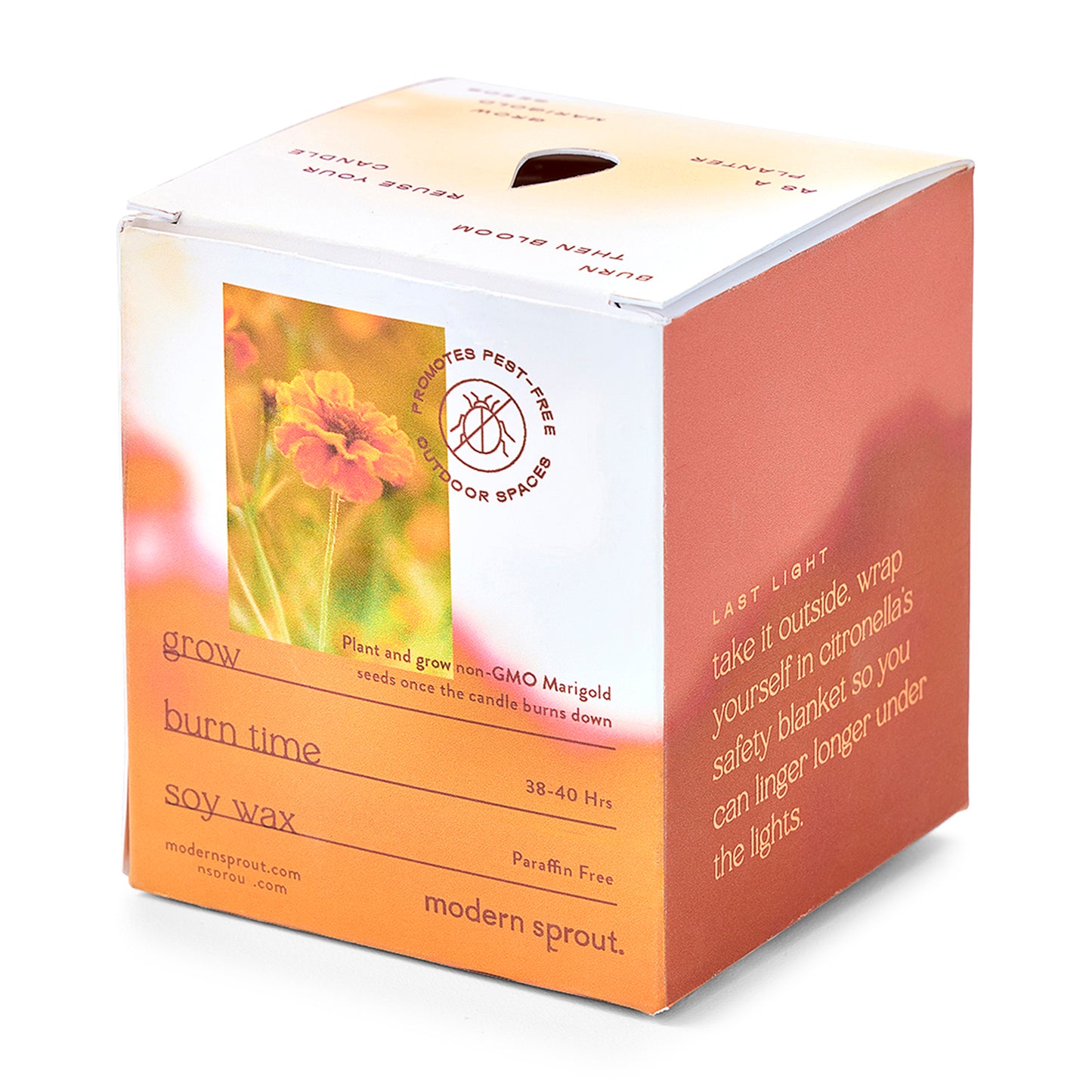 Modern Sprout® Garden Vibes Candle/Planter