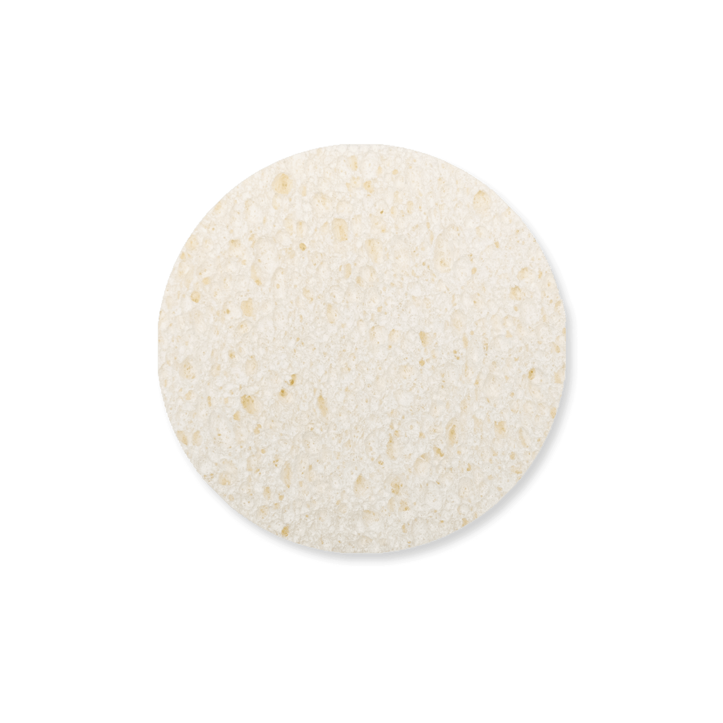 Expand-It Sponge - Round