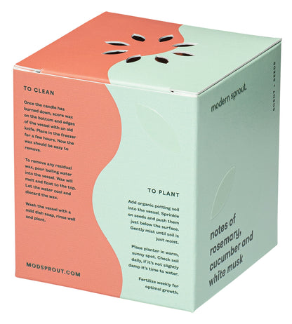 Modern Sprout® Rooted Candle