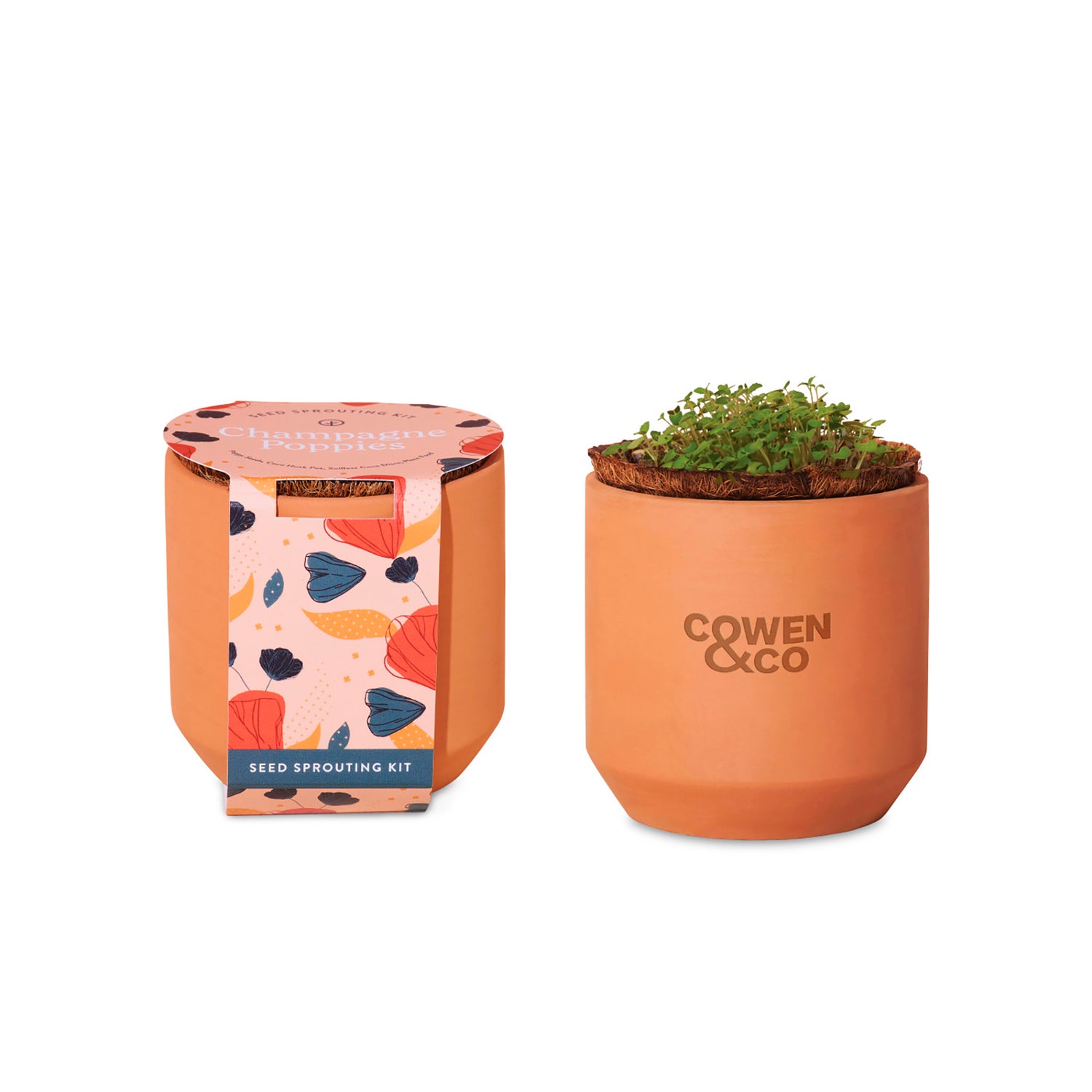 Plants