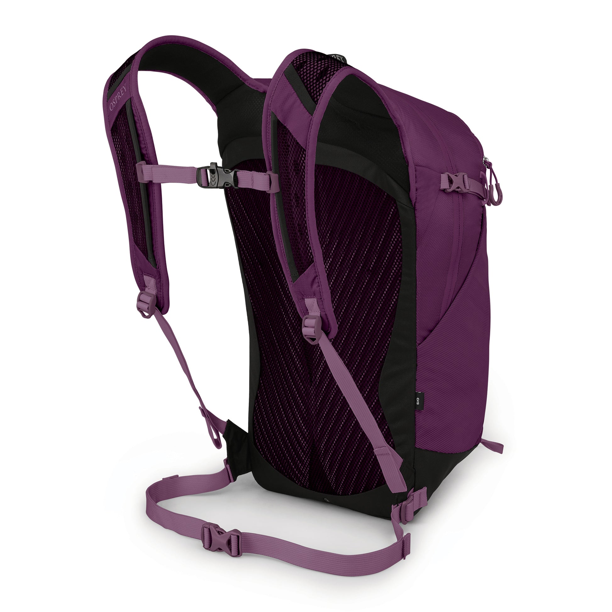 Aubergine Purple Osprey Sportlite™ 20