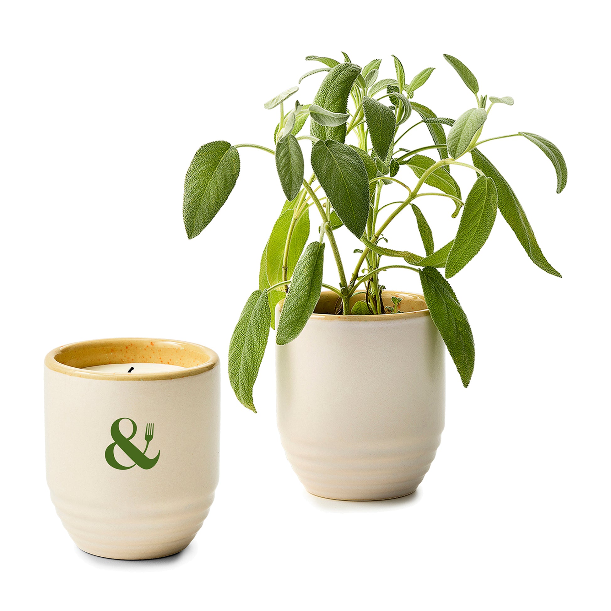 Golden Moments/Sage Modern Sprout® Garden Vibes Candle/Planter