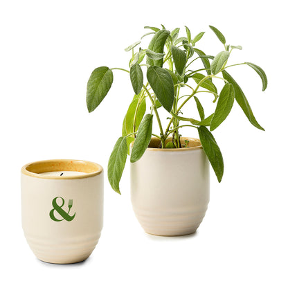 Golden Moments/Sage Modern Sprout® Garden Vibes Candle/Planter