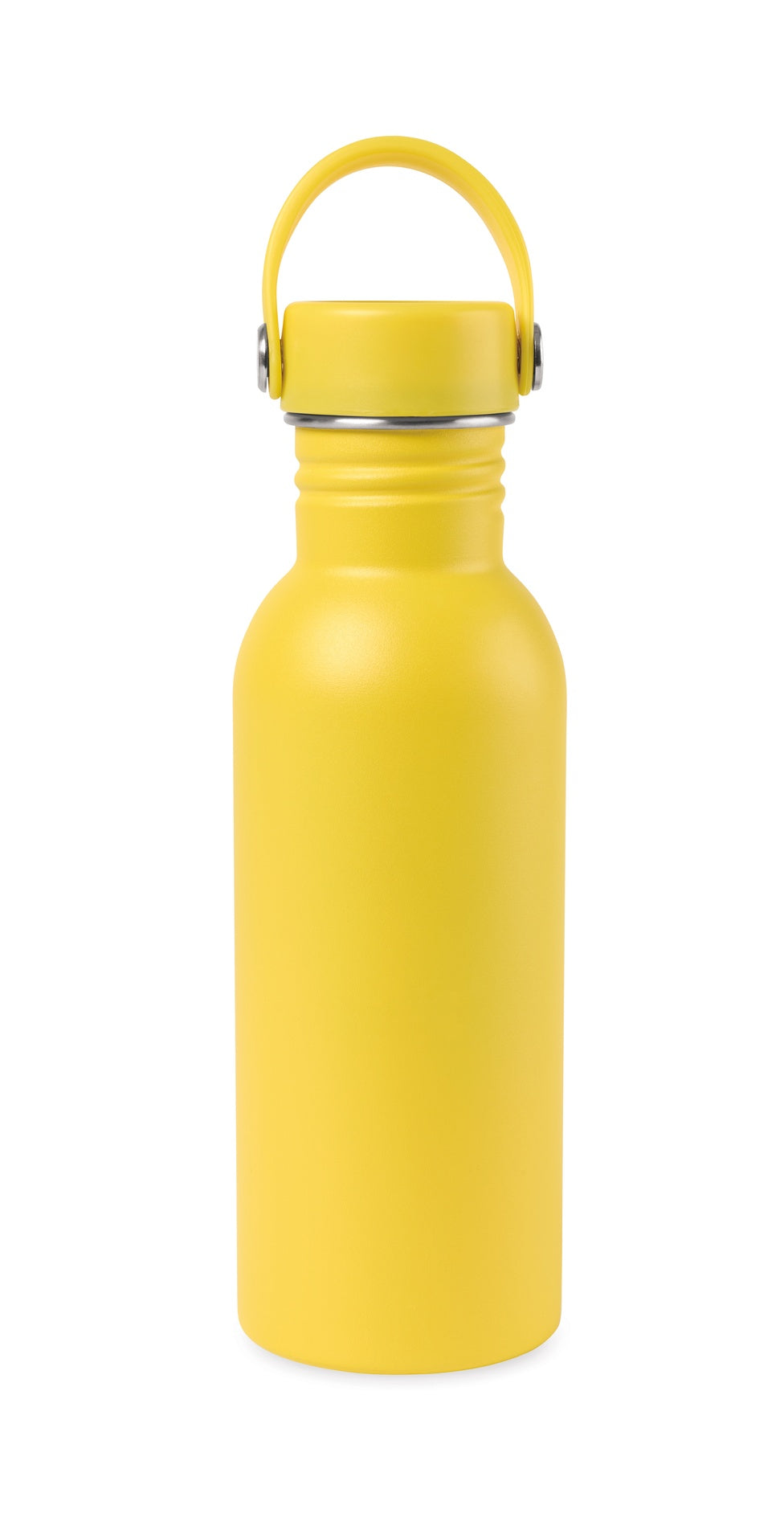 Arlo Classics Stainless Steel Hydration Bottle - 20 Oz.