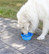 Large Collapsible Silicone Pet Bowl