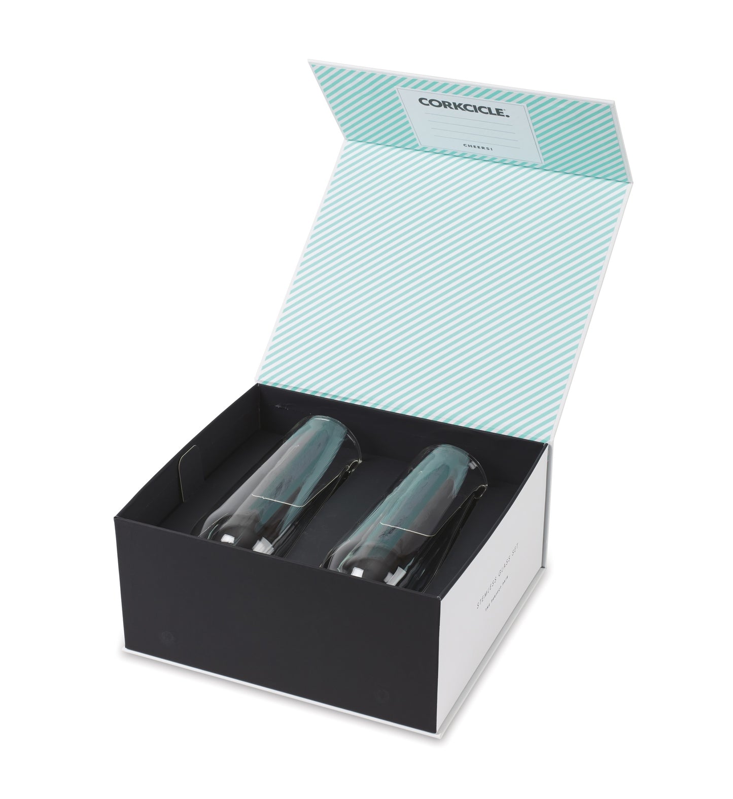 Clear CORKCICLE® Flute Glass Set (2)