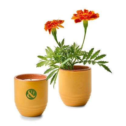 Modern Sprout® Garden Vibes Candle/Planter