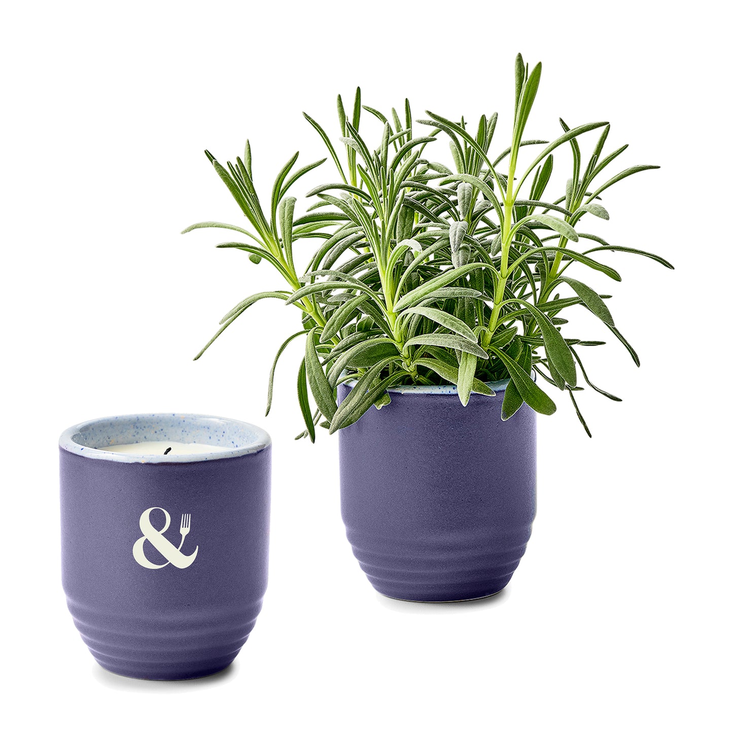 Modern Sprout® Garden Vibes Candle/Planter