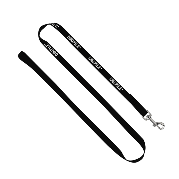 3/4" Smooth Nylon Pet Leash with Bright Metal Snap Hook