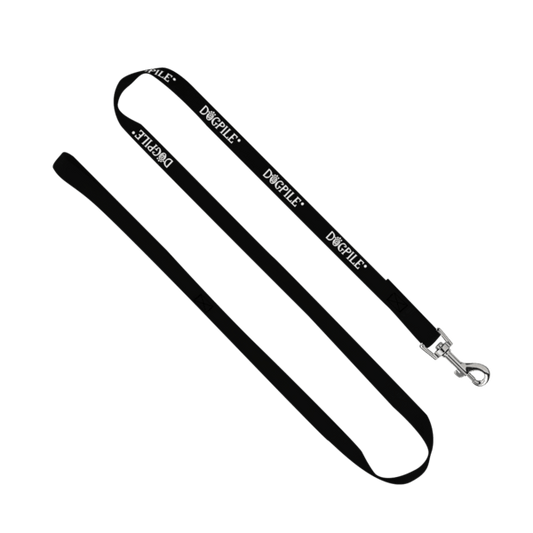 3/4" Smooth Nylon Pet Leash with Bright Metal Snap Hook