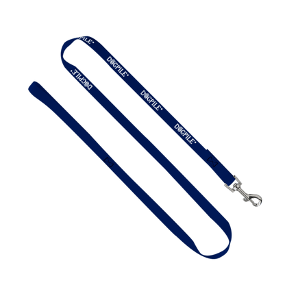 3/4" Smooth Nylon Pet Leash with Bright Metal Snap Hook