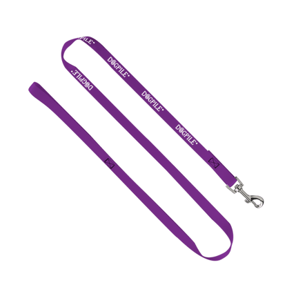 3/4" Smooth Nylon Pet Leash with Bright Metal Snap Hook