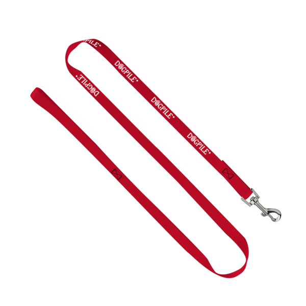 3/4" Smooth Nylon Pet Leash with Bright Metal Snap Hook