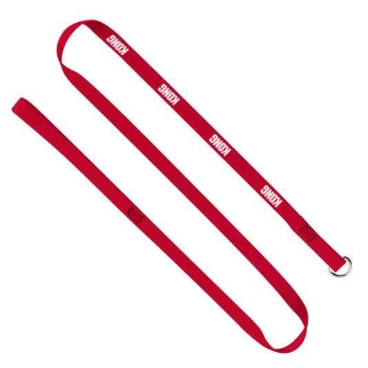 3/4" Nylon Pet Slip Leash