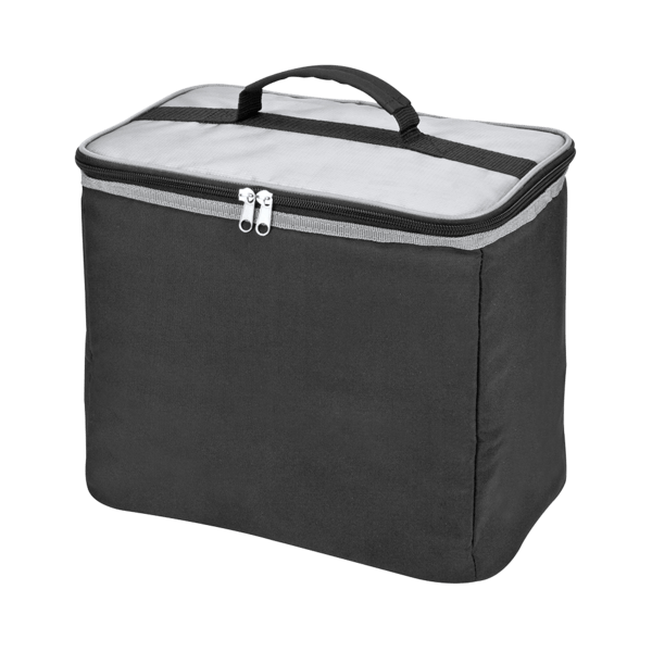 Collapsible 2-In-1 Trunk Organizer/Cooler