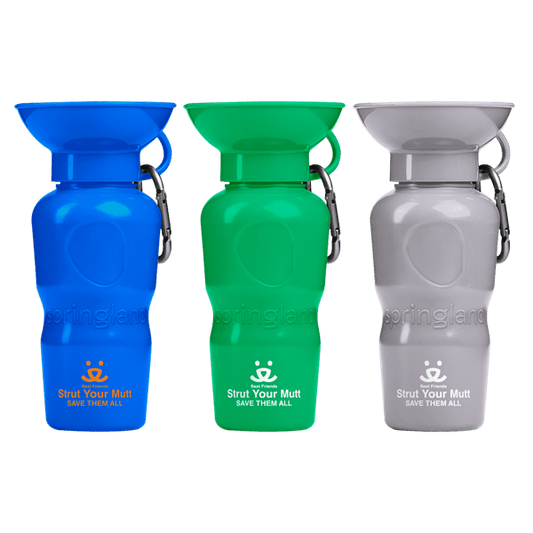 Springland Pet Classic 22oz Dog Travel Water Bottle