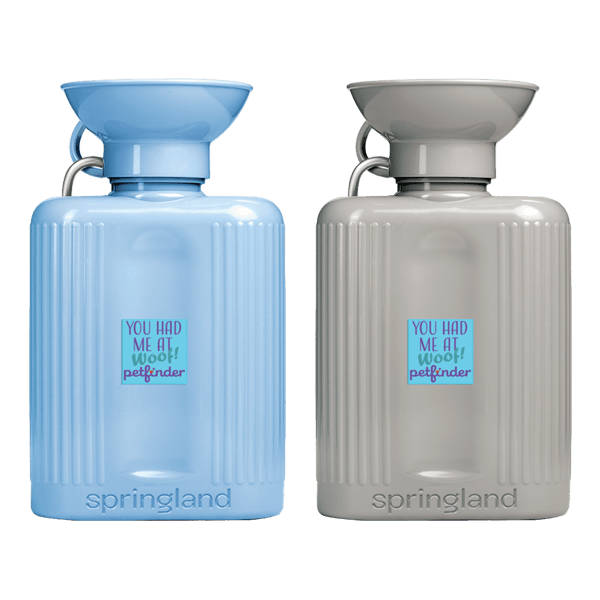 Springland Pet 44oz Growler Travel Water Bottle