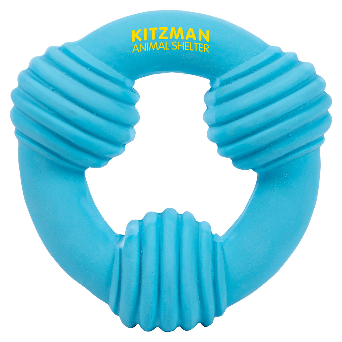 Blue Ring Dog Toy