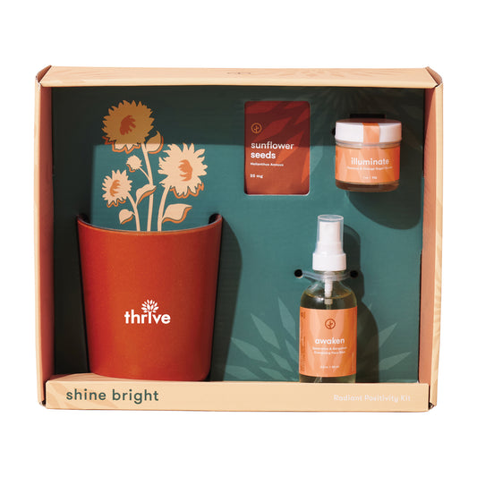 Shine Bright Sunflower Modern Sprout® Shine Bright Take Care Kit - Sunflower